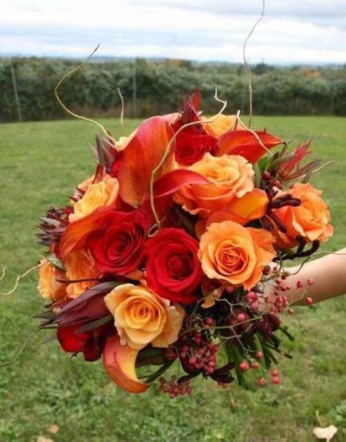 Mariage octobre / novembre - 1