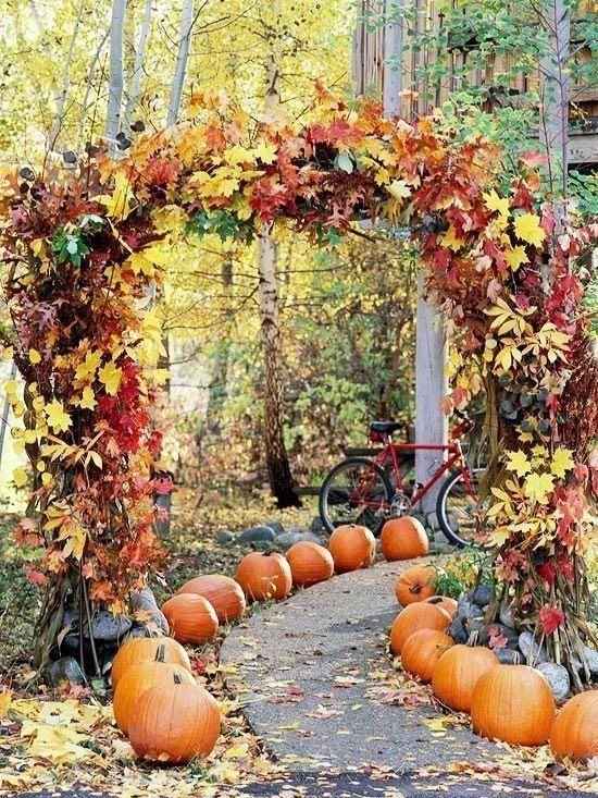 Mariage octobre / novembre - 5