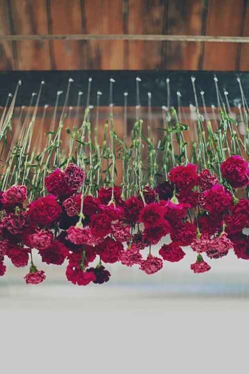 Suspensions florales - 13
