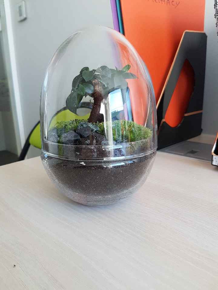 Terrarium - Inspi n°2 - 1