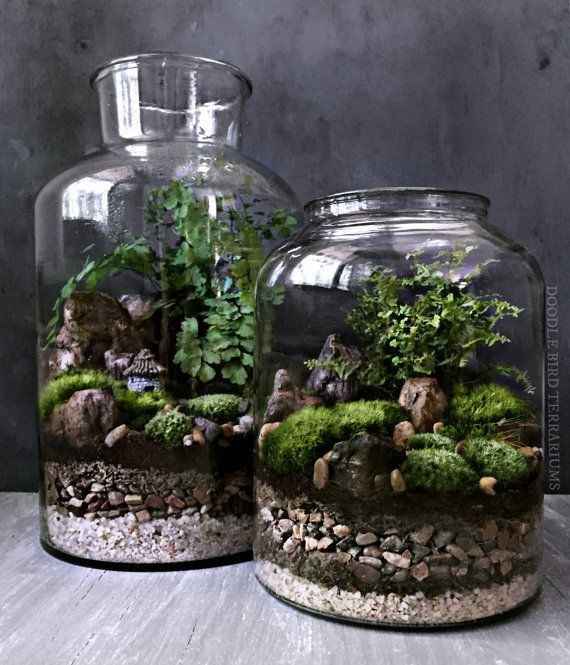 Terrarium - Inspi n°2 - 4