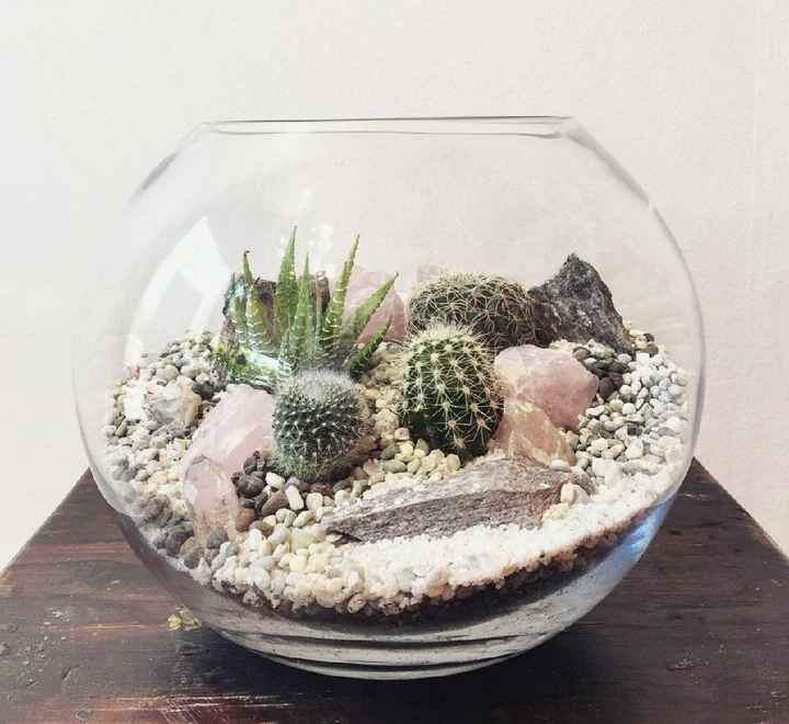 Terrarium - Inspi n°2 - 5
