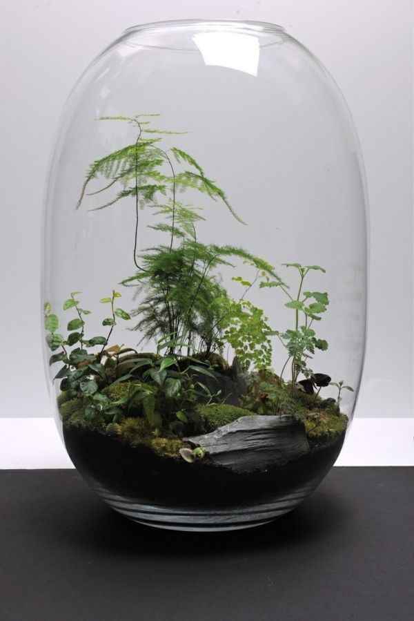 Terrarium - Inspi n°2 - 6
