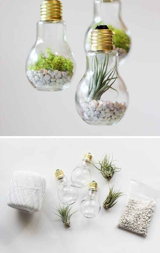 Terrarium - Inspi n°2 - 7