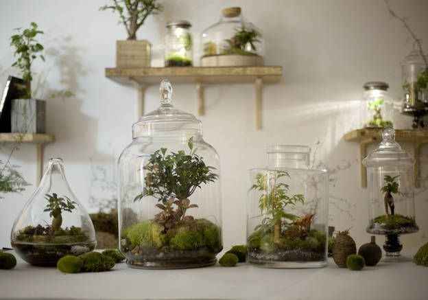Terrarium - Inspi n°2 - 8