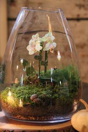 Terrarium - Inspi n°2 - 9
