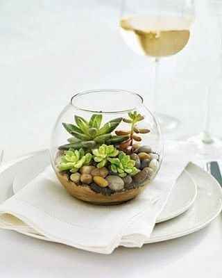 Terrarium - Inspi n°2 - 10