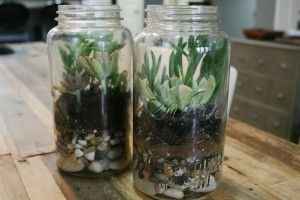 Terrarium - Inspi n°2 - 11
