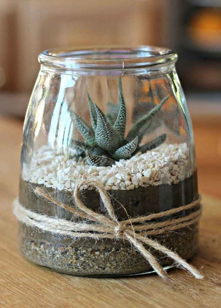 Terrarium - Inspi n°2 - 12