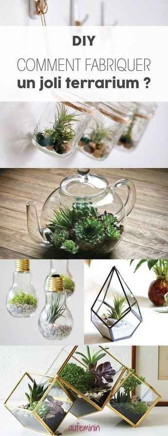 Terrarium - Inspi n°2 - 13