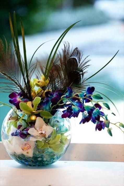 Inspiration paon - 1