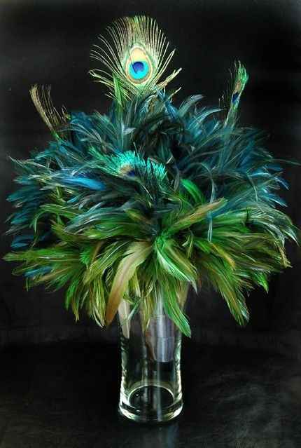 Inspiration paon - 13