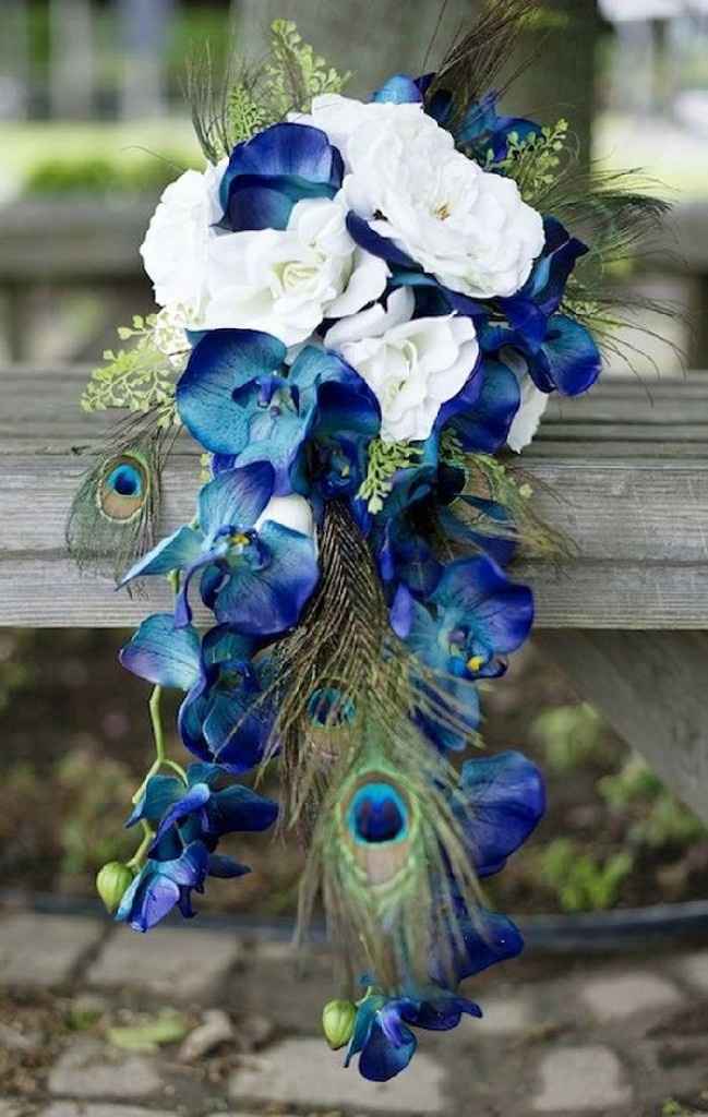 Inspiration paon - 19