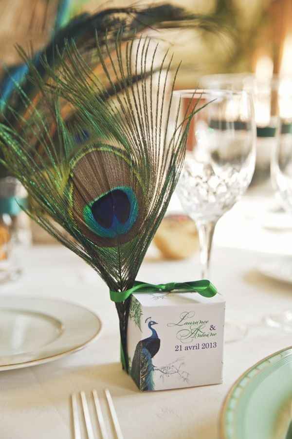 Inspiration paon - 28