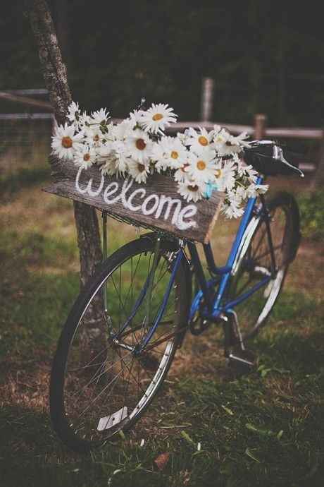Inspirations marguerites - 1