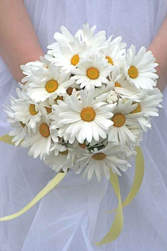 Inspirations marguerites - 9