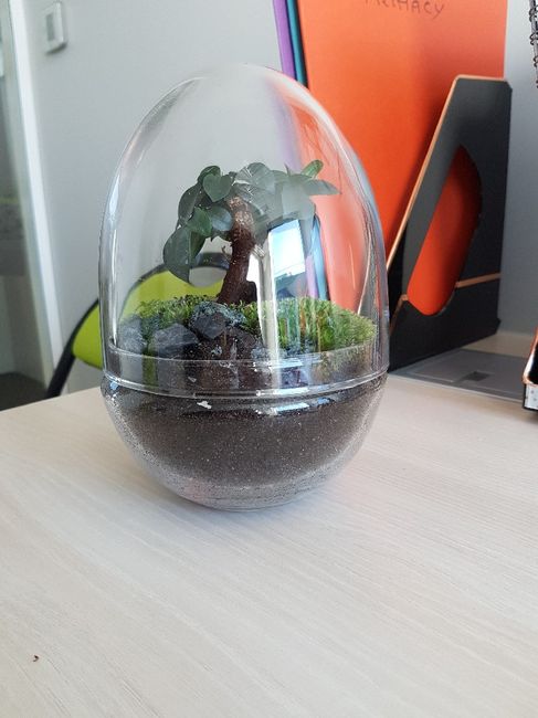 Terrarium - Inspi n°2 - 1