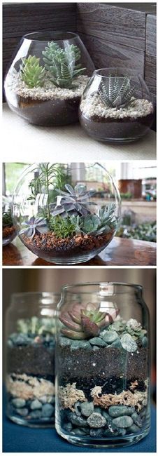 Terrarium - Inspi n°2 - 3