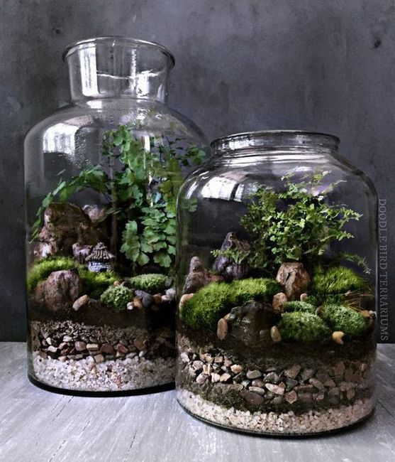 Terrarium - Inspi n°2 - 4