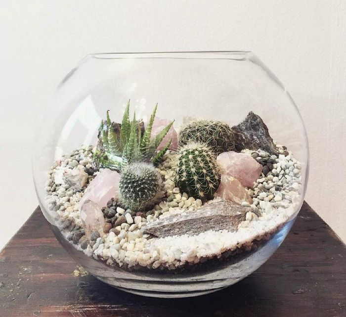 Terrarium - Inspi n°2 - 5