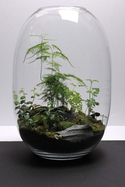 Terrarium - Inspi n°2 - 6