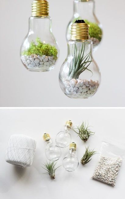 Terrarium - Inspi n°2 - 7