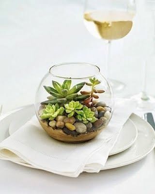 Terrarium - Inspi n°2 - 10