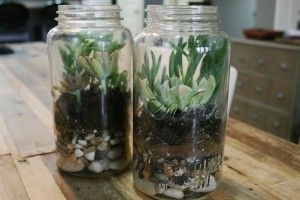 Terrarium - Inspi n°2 - 11