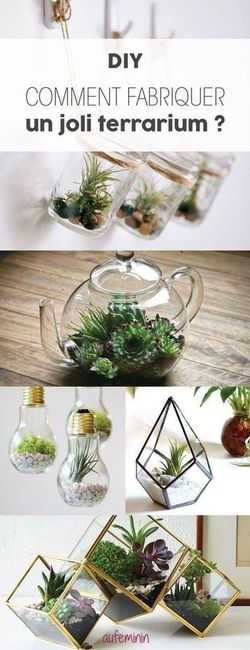 Terrarium - Inspi n°2 - 13