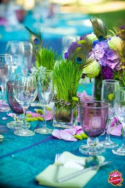 Inspiration paon - 15