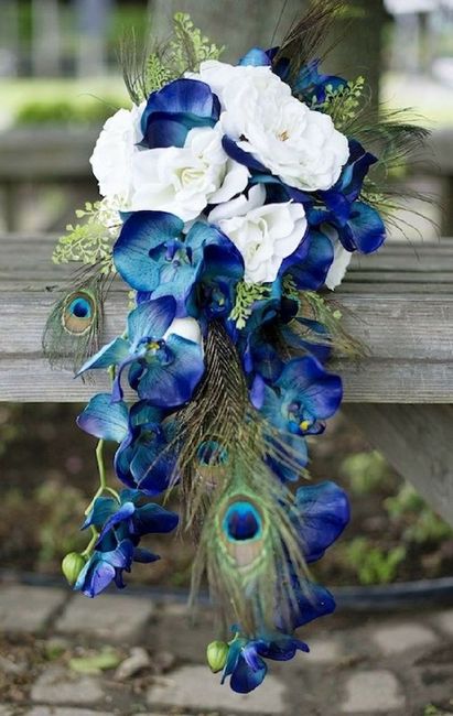 Inspiration paon - 19