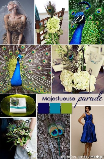 Inspiration paon - 22