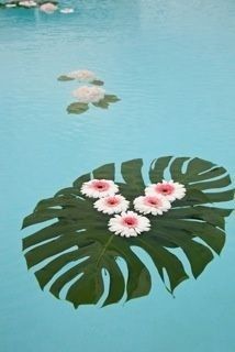 Inspirations : la piscine aussi se met à la fête - 2