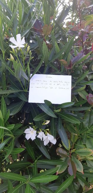 Besoin de votre aide... Encore ! Love note - 1