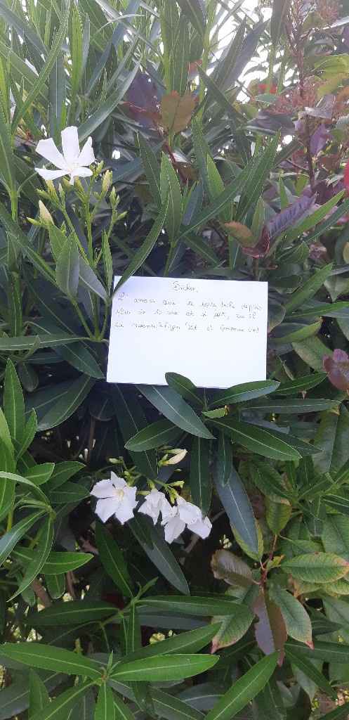 Besoin de votre aide... Encore ! Love note - 1