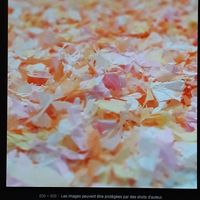 a la sortie de la cérémonie - 1
