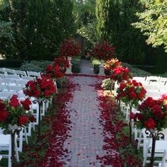 Mariage du 12 août 2023 - 3
