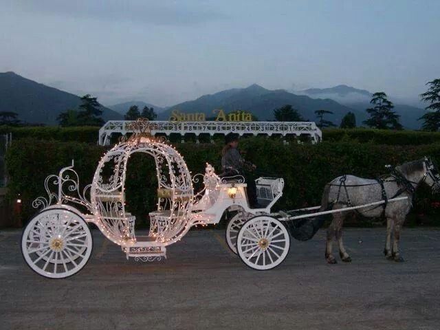 Inspirations carosses mariage 3