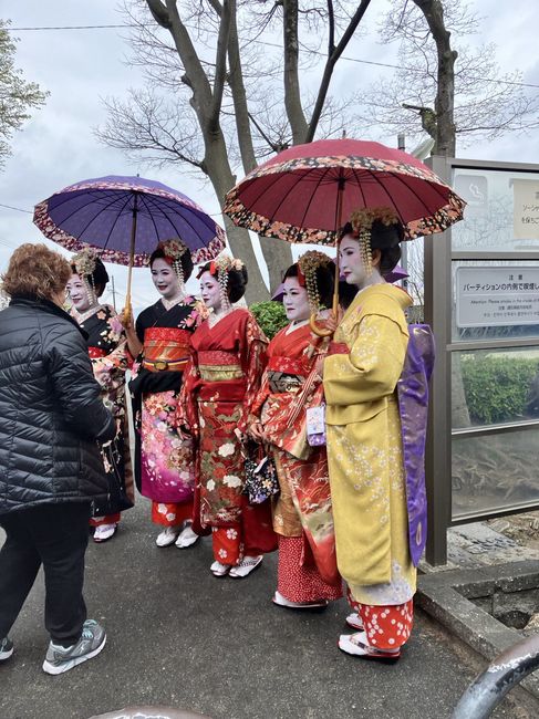 Les carnets de Marie - episode 4 (se fondre dans la masse a Kyoto) 8