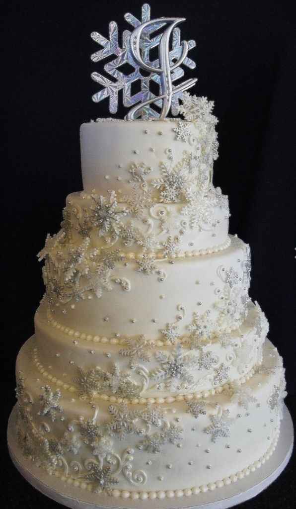 Mariage hivernal “winter wonderland” - 8