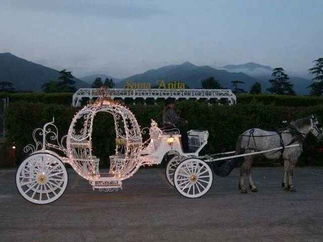 Inspirations carosses mariage - 3