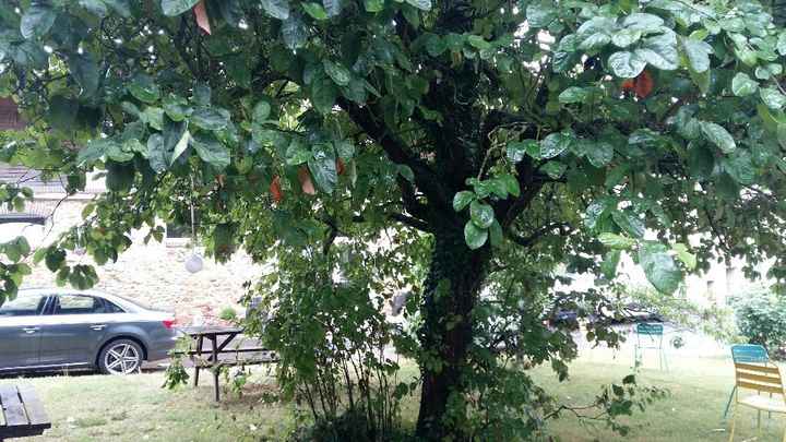 Mon mariage 01/07/2017 - 6
