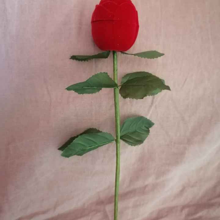 Faire part + porte alliance - 1