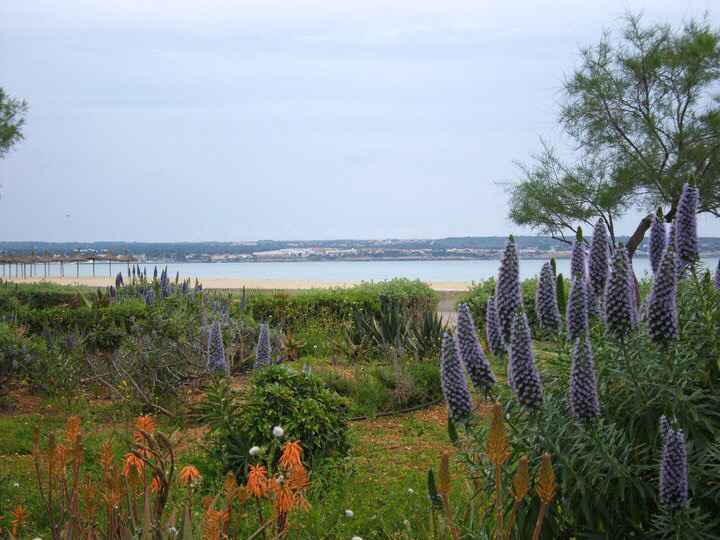 Quelles activités/beau paysage  à majorque dans les baléares ? - 3
