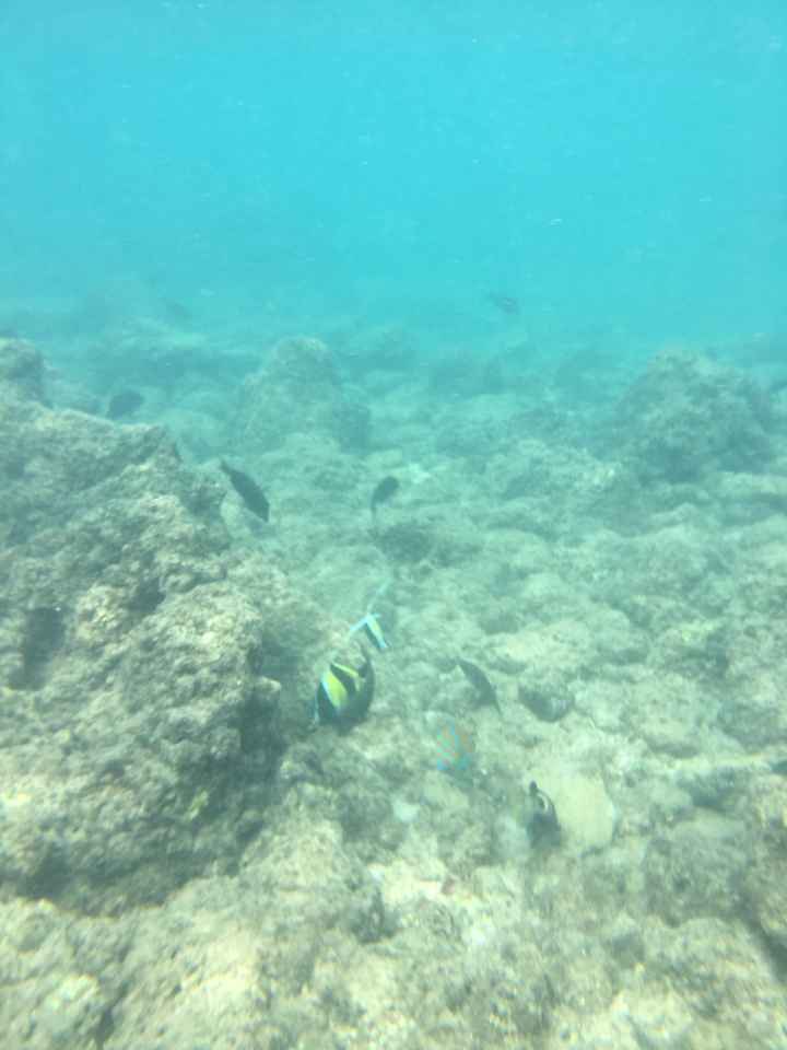  Retour sur notre voyage de noces, chapitre Ii: Hawaii! 🌺 - 5