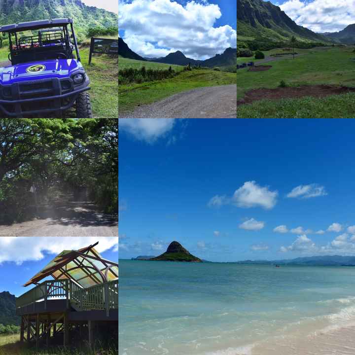  Retour sur notre voyage de noces, chapitre Ii: Hawaii! 🌺 - 10