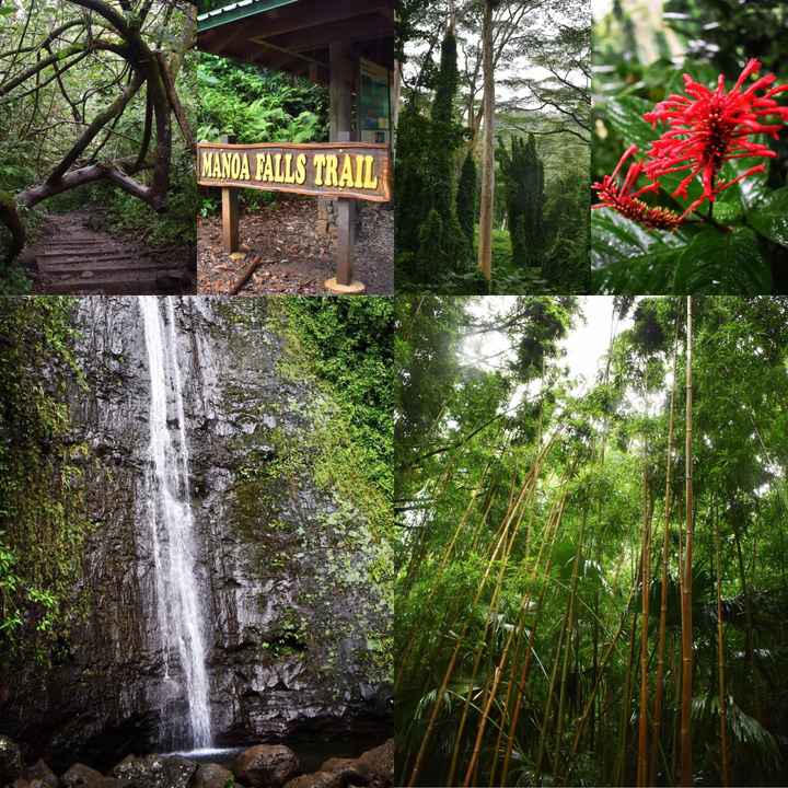  Retour sur notre voyage de noces, chapitre Ii: Hawaii! 🌺 - 17