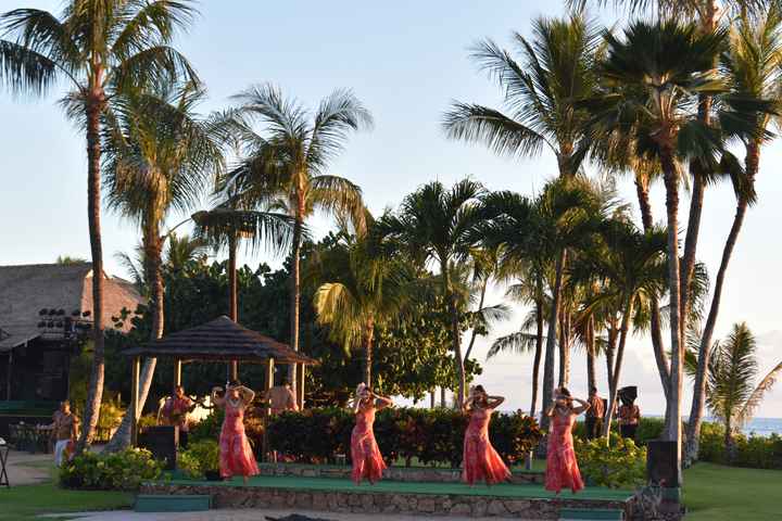  Retour sur notre voyage de noces, chapitre Ii: Hawaii! 🌺 - 4