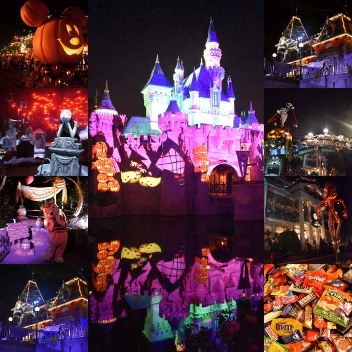  Retour sur notre voyage de noces, dernière partie: Disneyland Resort, Las Vegas & Los Angeles - 5