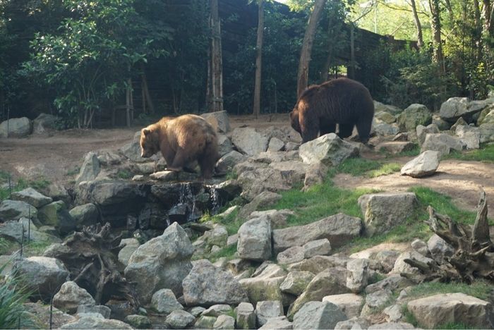 Notre weekend de noces au zoo de la fleche! - 18